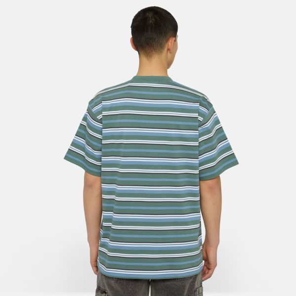 Dickies Glade Spring Stripe T-shirt Blauw/Groen