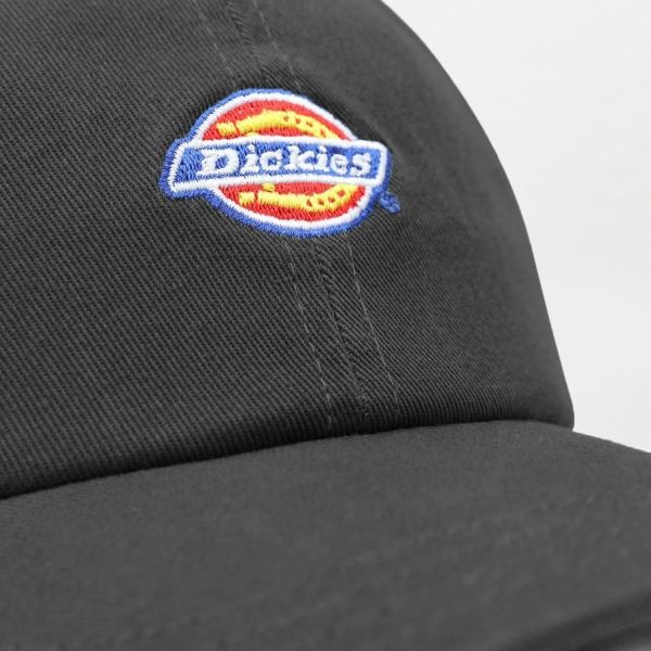 Dickies Hardwick Cap Zwart