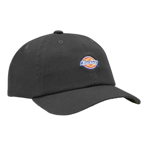 Dickies Hardwick Cap Zwart