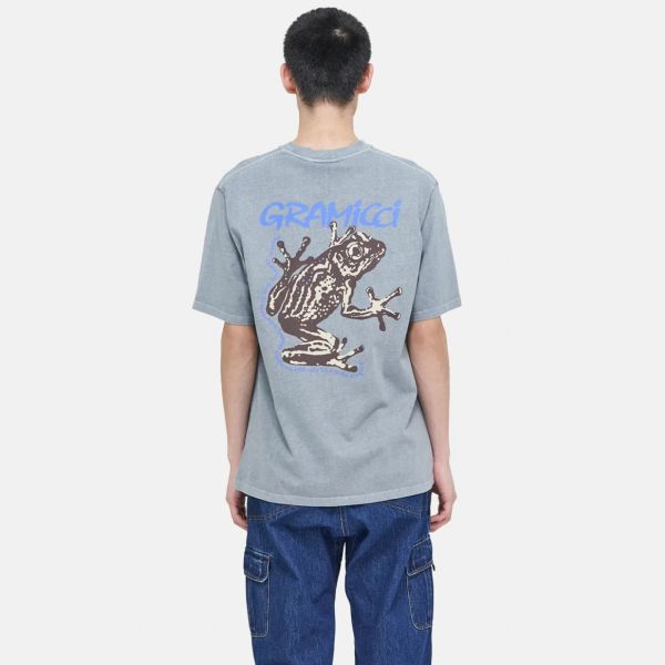 Gramicci Sticky Frog T-shirt Grijs