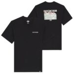 Dickies Landscape T-shirt Zwart